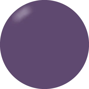 Presto Color Gel #081 [Bottle]