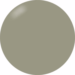 Presto Color Gel #191 [Bottle]