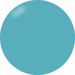 Presto Color Gel #223 [Bottle]