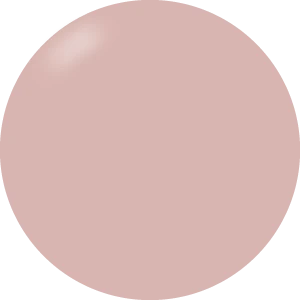 Presto Color Gel #243 [Bottle]