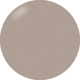 Presto Color Gel #245 [Bottle]