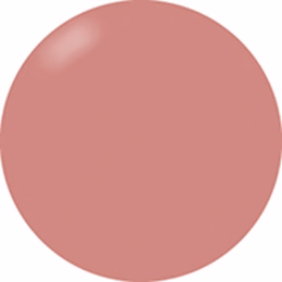 Presto Color Gel #255 [Bottle]