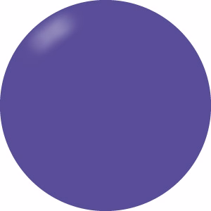 Presto Color Gel #311 [Bottle]