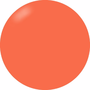 Presto Color Gel #317 [Bottle]