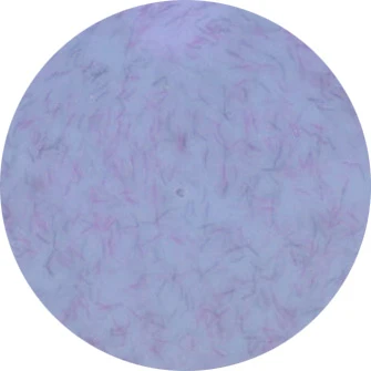 Presto Color Gel #325 [Jar]