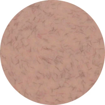 Presto Color Gel #327 [Jar]