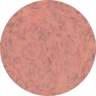 Presto Color Gel #329 [Jar]
