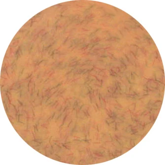 Presto Color Gel #334 [Jar]