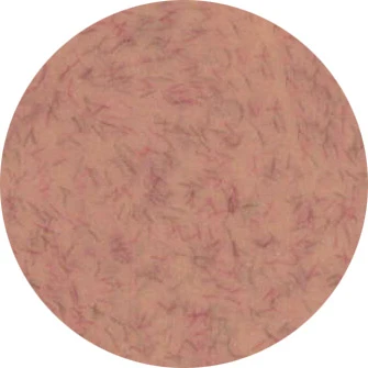 Presto Color Gel #335 [Jar]