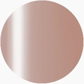 Presto Color Gel S404