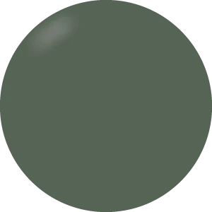 Presto Color Gel S413